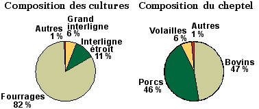 Composition relative du cheptel et des cultures